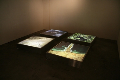 la mostra